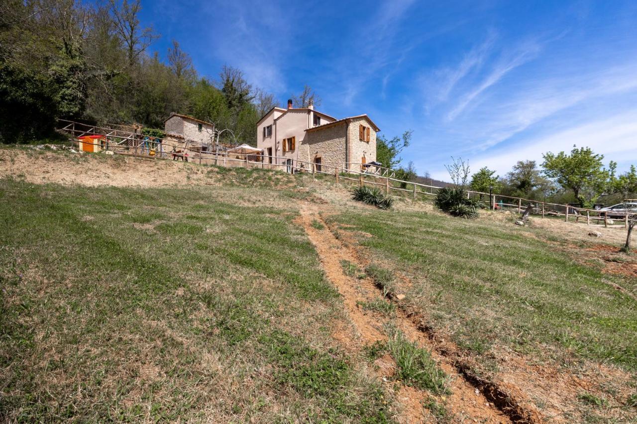 Podere Del Ciacchi Among Tuscany Greenery - Happy Rentals Montieri Exteriér fotografie